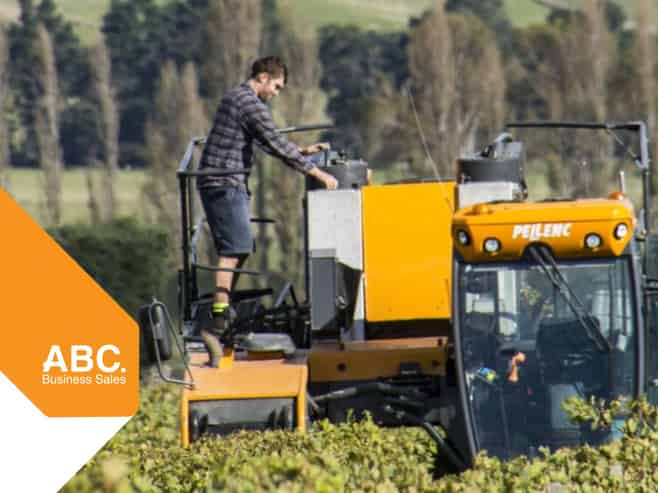 NZ's Wine Heritage: One of Waipara's Oldest 