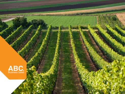 NZ's Wine Heritage: One of Waipara's Oldest 