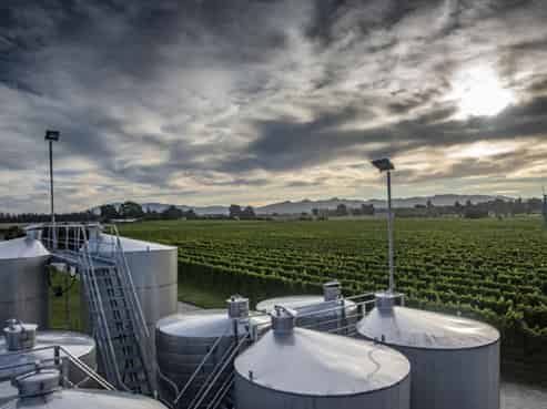 NZ's Wine Heritage: One of Waipara's Oldest 