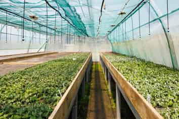 Great Cashflow Plus Lifestyle