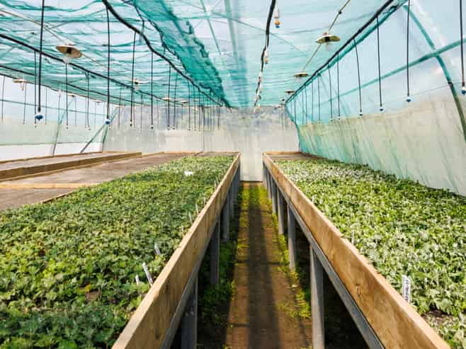 Great Cashflow Plus Lifestyle