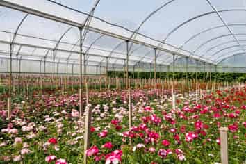 Great Cashflow Plus Lifestyle