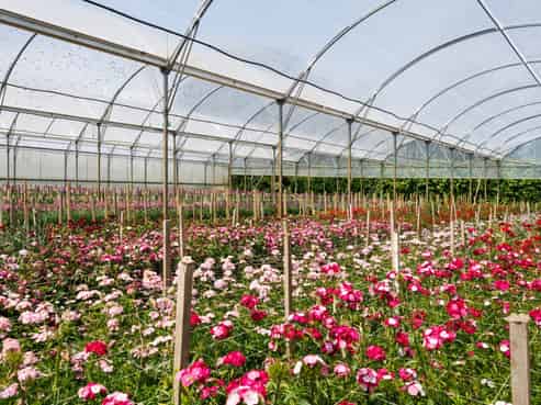 Great Cashflow Plus Lifestyle