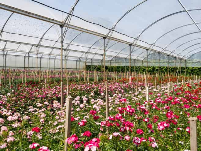 Great Cashflow Plus Lifestyle