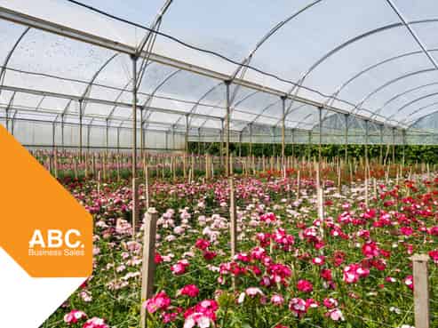 Great Cashflow Plus Lifestyle