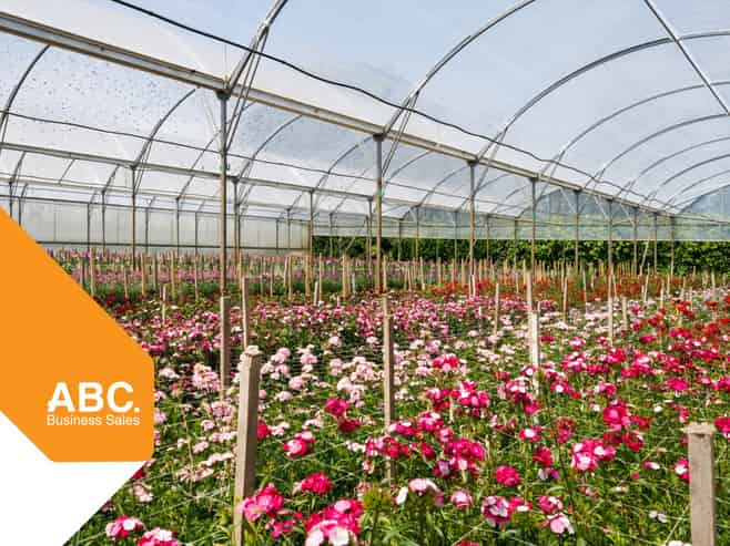 Great Cashflow Plus Lifestyle