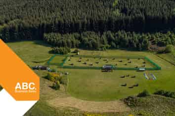 Entertainment Business with Expansion Upside