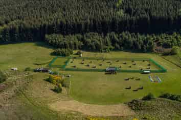 Entertainment Business with Expansion Upside