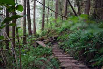 Wildlife Management & Predator Control Business