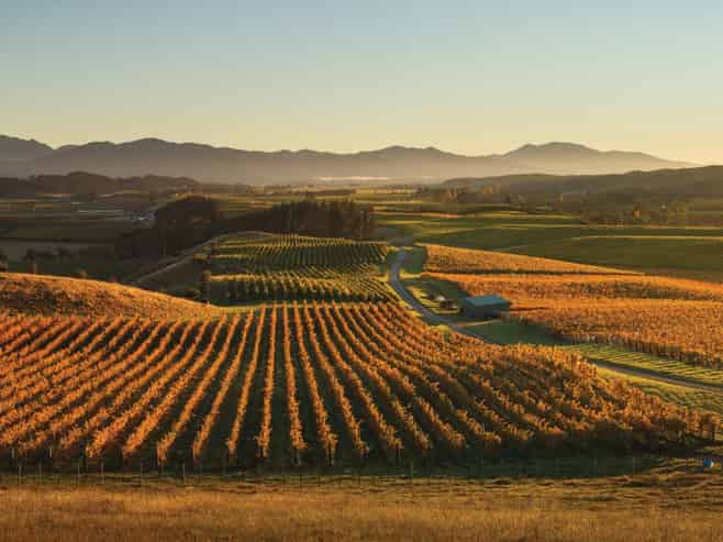 Churton Wines A Legacy of Innovation & Excellence
