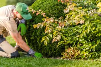 Scaled Cleaning & Gardening Business