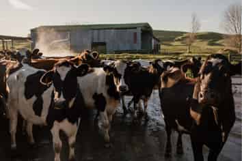 Concrete Grooving Business with Proven Returns