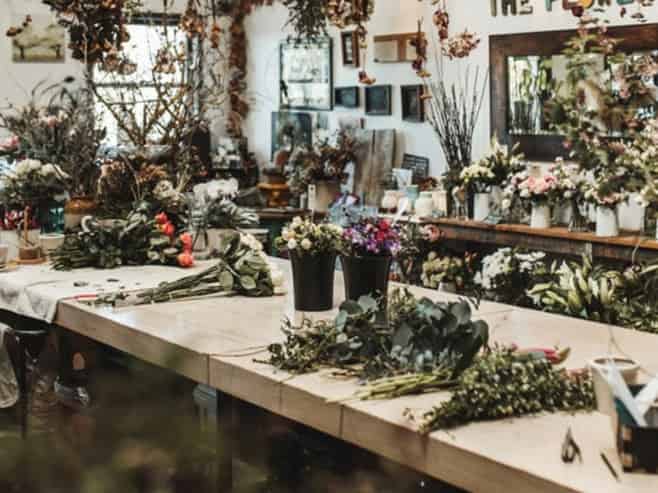 Mrs Bottomley’s Flowers- Blooming with Opportunity