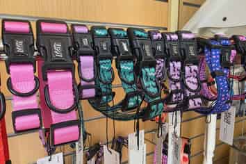 Paw-Some Grooming Business For Sale