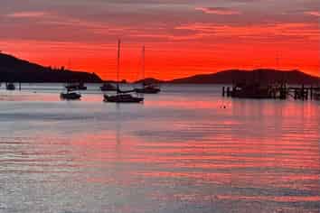 Super Profitable Restaurant - Approx. $300k EBITDA