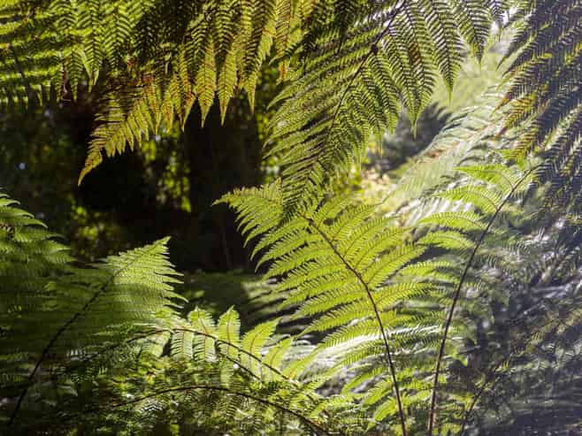 Guided Tourism - High Margin & Lifestyle Alignment