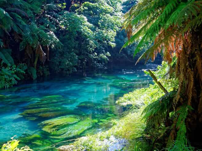 Guided Tourism - High Margin & Lifestyle Alignment