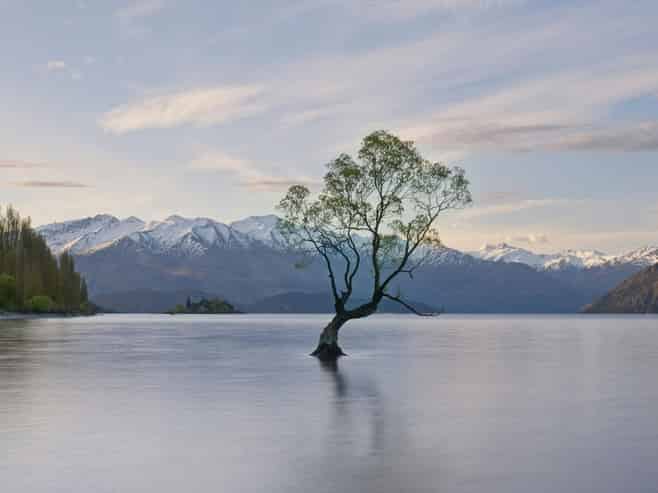 Guided Tourism - High Margin & Lifestyle Alignment