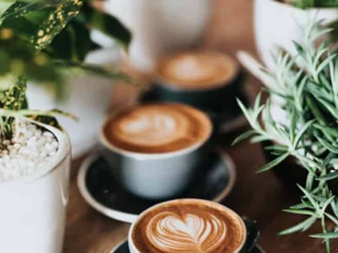 Cafe, Bar & Restaurant – Prime CBD Location