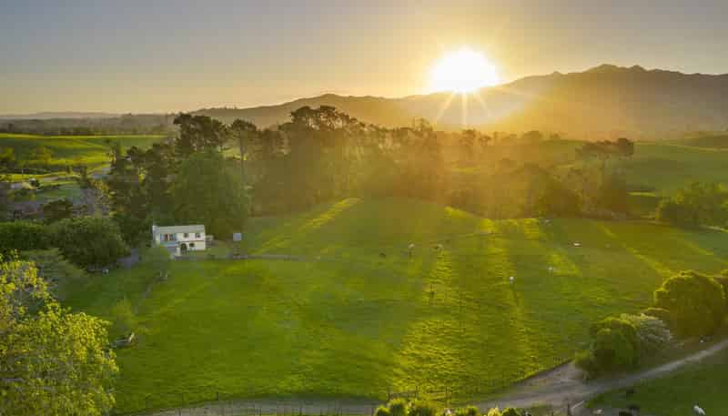 810 Pirongia Road, Pirongia