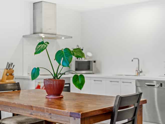 29 Fairwater Road, Warkworth