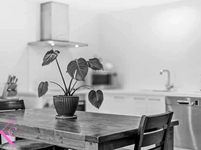 29 Fairwater Road, Warkworth