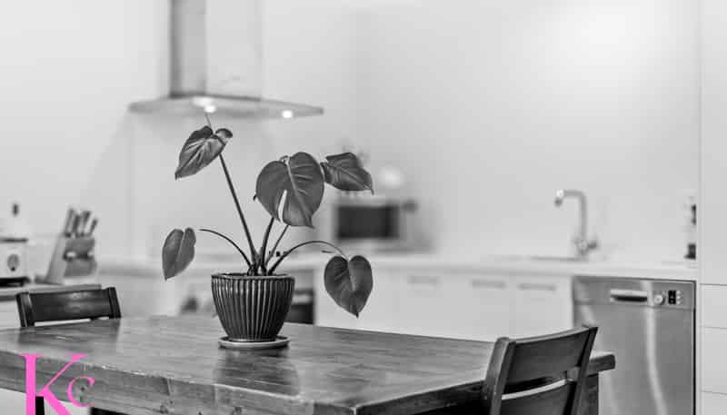 29 Fairwater Road, Warkworth