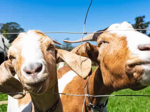 881 Whakapirau Road, Whakapirau