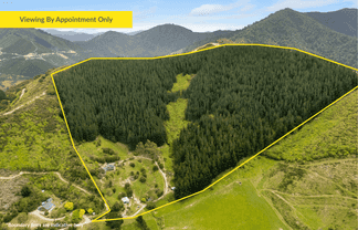 125 Kaiuma Bay Road, Canvastown