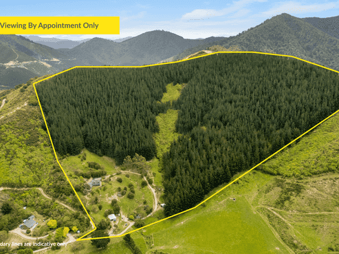 125 Kaiuma Bay Road, Canvastown