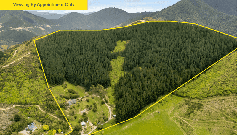 125 Kaiuma Bay Road, Canvastown