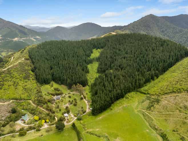 125 Kaiuma Bay Road, Canvastown