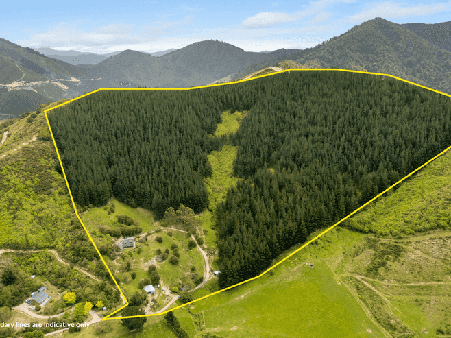 125 Kaiuma Bay Road, Canvastown