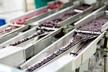 Food Processing Plant $500K incl. Plant & Equip