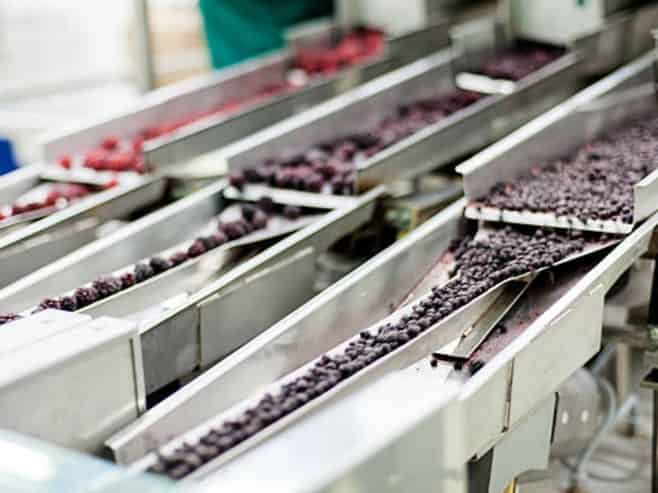 Food Processing Plant $500K incl. Plant & Equip