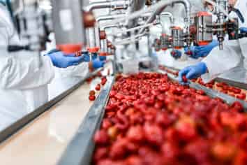 Food Processing Plant $500K incl. Plant & Equip