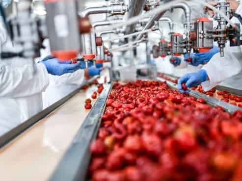 Food Processing Plant $390K incl. Plant & Equip