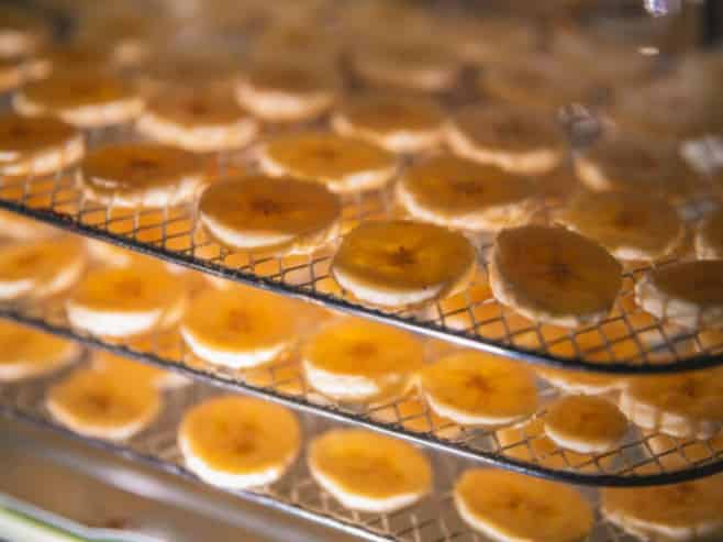 Food Processing Plant $500K incl. Plant & Equip