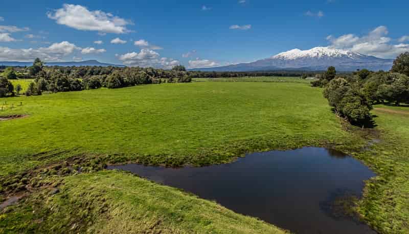 Lot 4, 136 Matapuna Road, Horopito