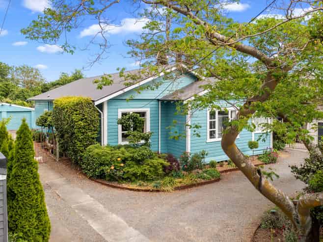 20 Lee Street, Blenheim