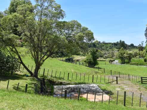 26 Hammond Street, Hairini