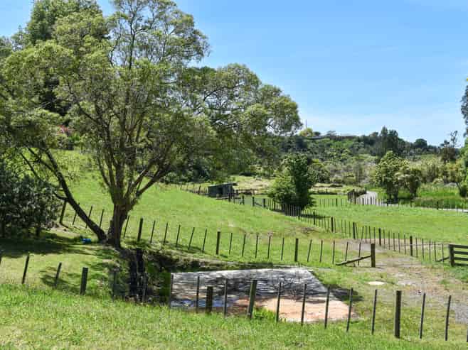 26 Hammond Street, Hairini