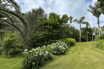 287 Glenvar Road, Long Bay