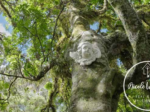 437 Paparoa Station Road, Paparoa