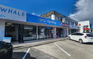 Prime Exposure on Whangaparaoa Road