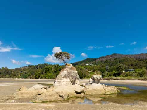 293 Riwaka-Kaiteri Road, Kaiteriteri