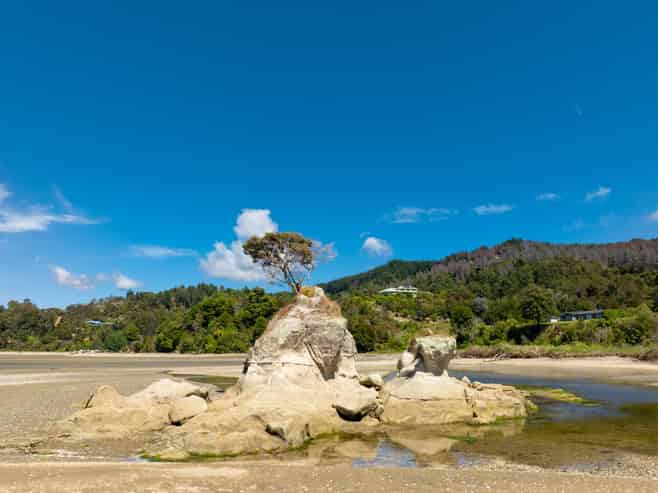 293 Riwaka-Kaiteri Road, Kaiteriteri