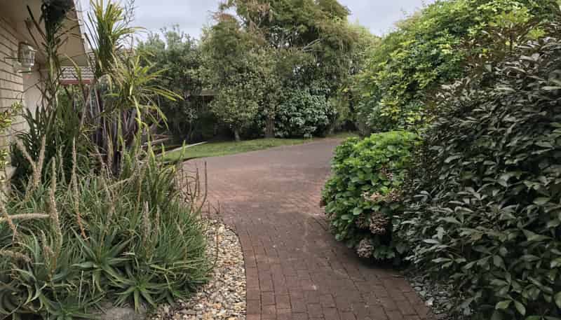 59B Bayfair Drive, Mount Maunganui