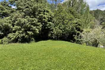 614d Paparoa Station Road, Paparoa