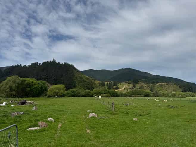 17 Para Railway Road, Koromiko